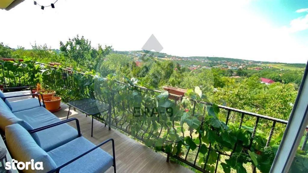 Casa Maya Oradea Exterior photo